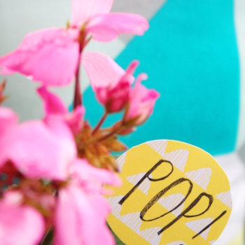 Make your plant Pop 5