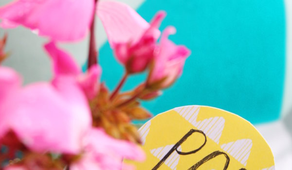Make your plant Pop 5