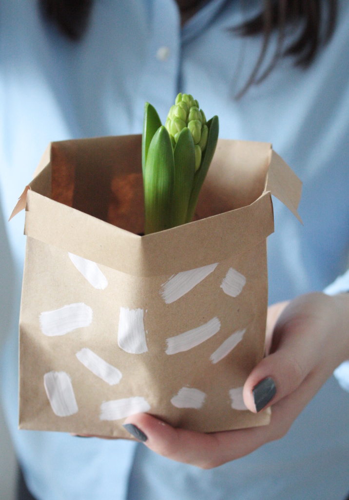Blumen veschenken Hyazinthe to go 3