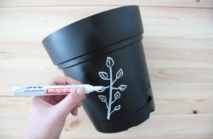 DIY: Mini Kräutergarten selber machen - Rosy & Grey