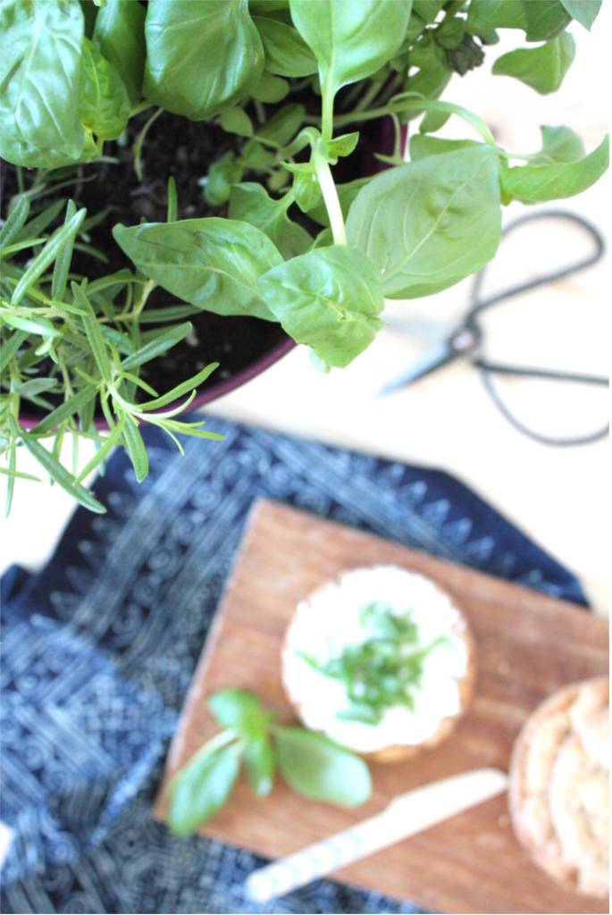 DIY: Mini Kräutergarten selber machen - Rosy & Grey